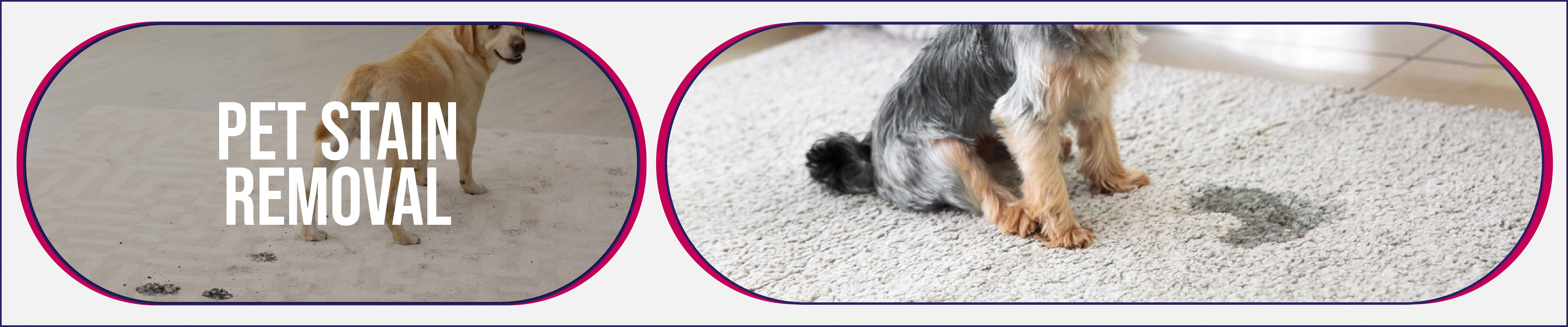 carpet cleaning in the westchester, carpet cleaning in the westchester, carpet cleaning the westchester, carpet cleaners in the westchester, carpet cleaners in the westchester, commercial carpet cleaning, commercial carpet cleaning in the westchester, the westchester rug cleaners, rug cleaning services in the westchester, same day carpet cleaning, same day rug cleaning