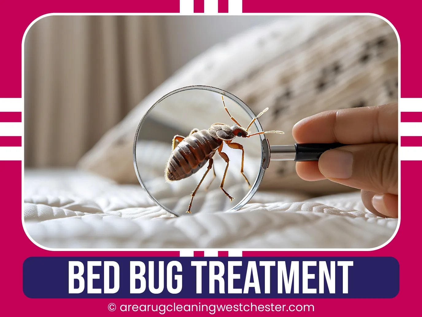 carpet cleaning in Westchester, carpet cleaning in Westchester, carpet cleaning Westchester, carpet cleaners in Westchester, carpet cleaners in Westchester, commercial carpet cleaning, commercial carpet cleaning in Westchester, Westchester rug cleaners, rug cleaning services in Westchester same day carpet cleaning, same day rug cleaning