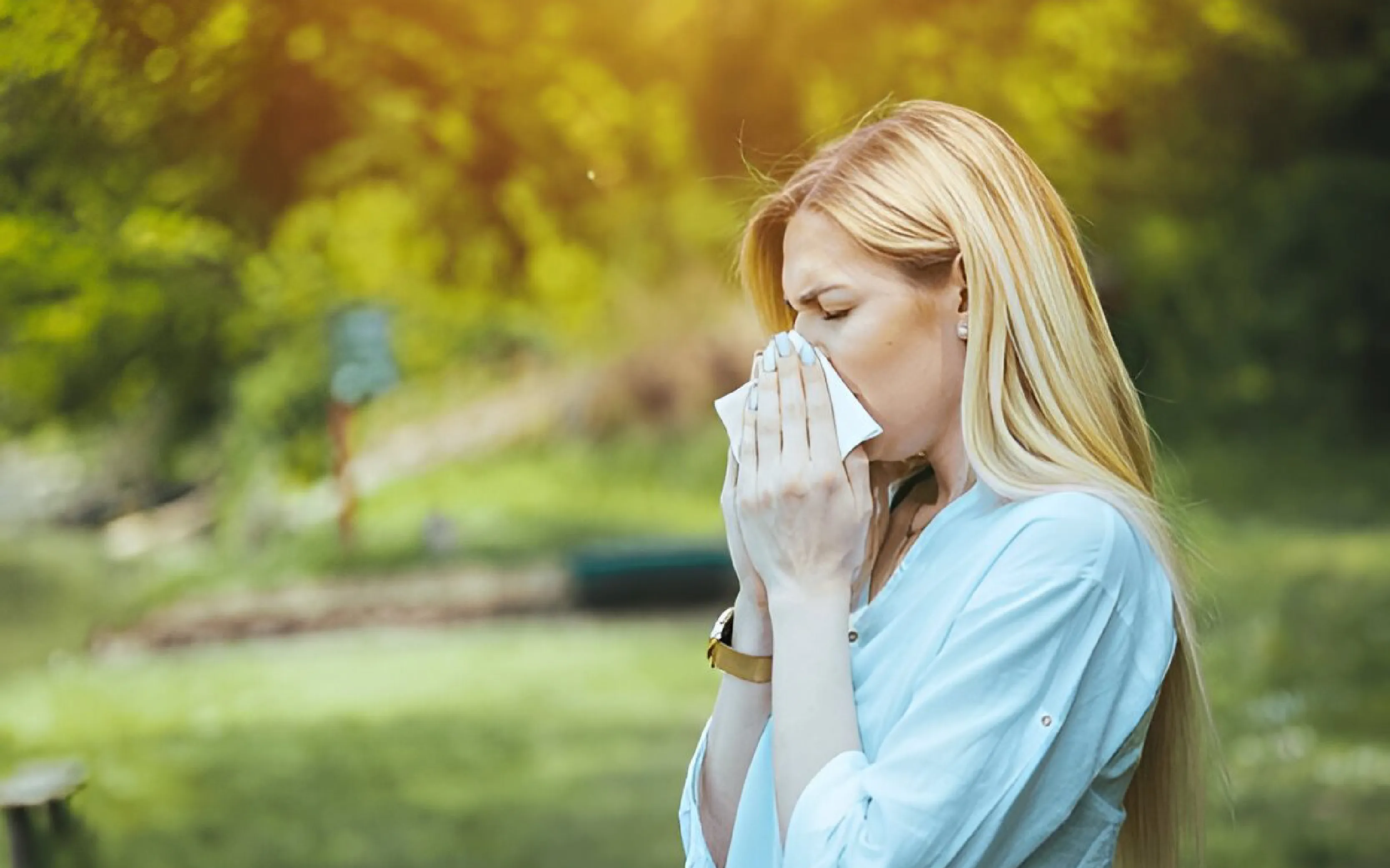 carpet cleaning in the westchester, carpet cleaning in the westchester, carpet cleaning the westchester, carpet cleaners in the westchester, carpet cleaners in the westchester, commercial carpet cleaning, commercial carpet cleaning in the westchester, the westchester rug cleaners, rug cleaning services in the westchester, same day carpet cleaning, same day rug cleaning