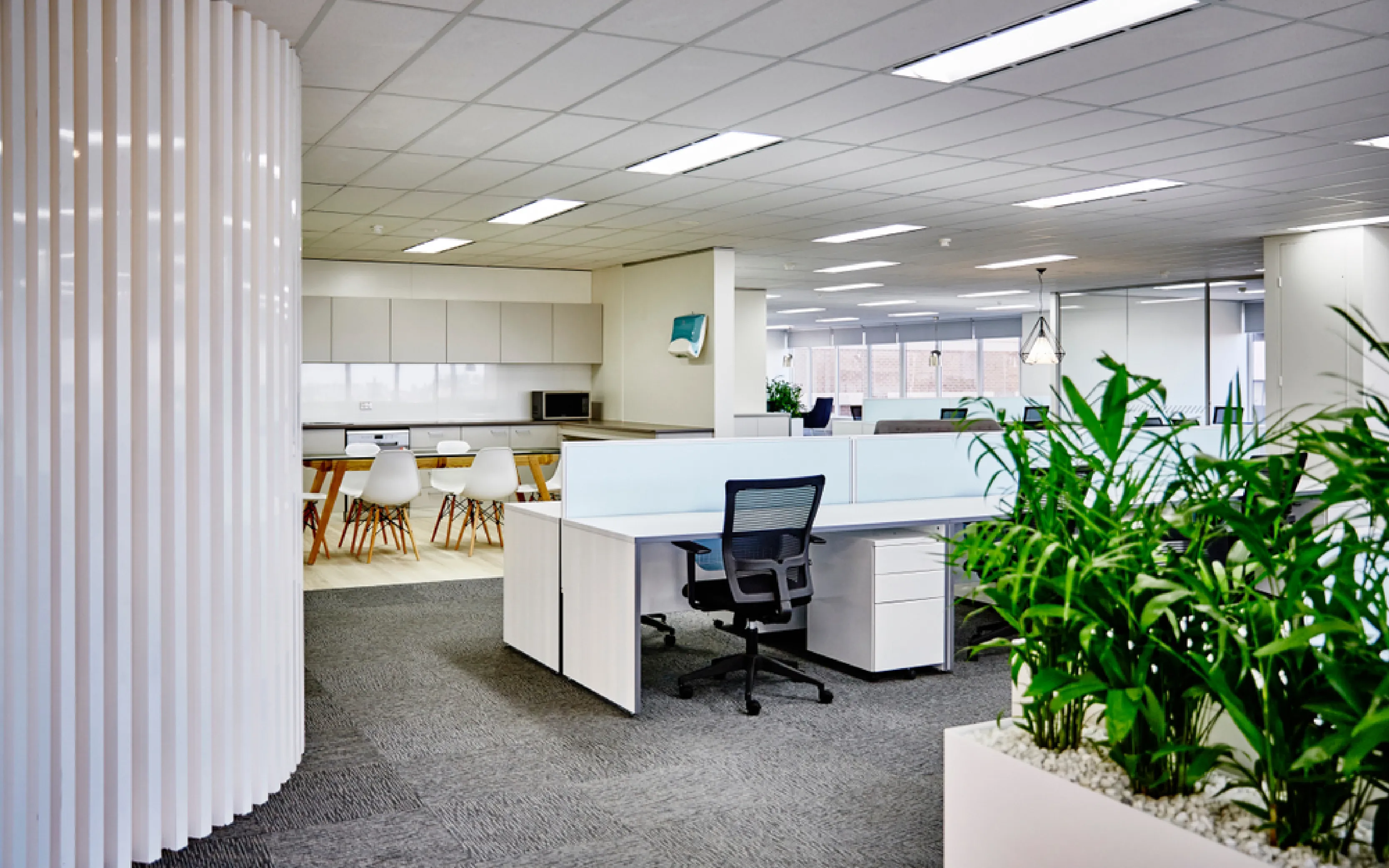 carpet cleaning in the westchester, carpet cleaning in the westchester, carpet cleaning the westchester, carpet cleaners in the westchester, carpet cleaners in the westchester, commercial carpet cleaning, commercial carpet cleaning in the westchester, the westchester rug cleaners, rug cleaning services in the westchester, same day carpet cleaning, same day rug cleaning