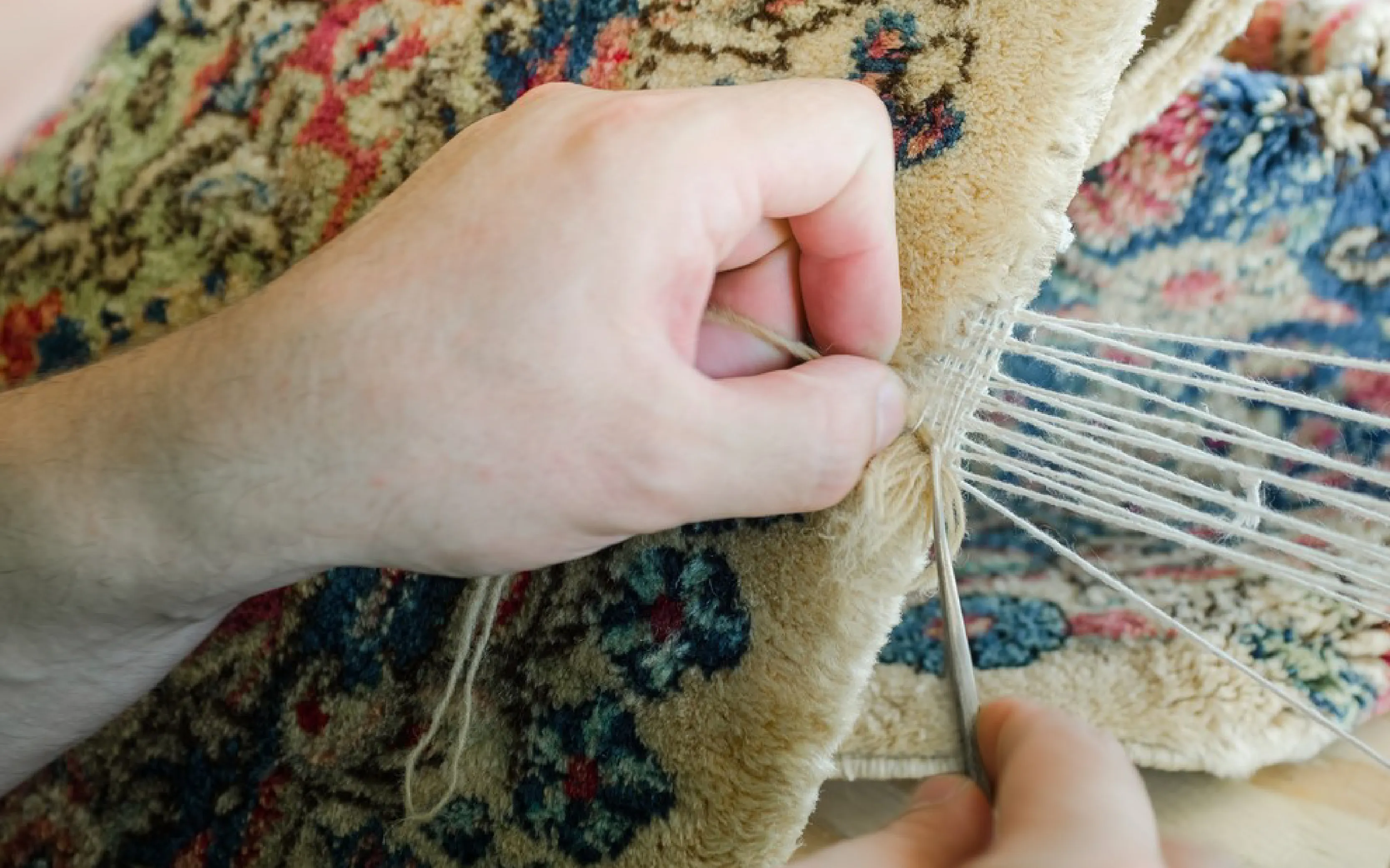 carpet cleaning in the westchester, carpet cleaning in the westchester, carpet cleaning the westchester, carpet cleaners in the westchester, carpet cleaners in the westchester, commercial carpet cleaning, commercial carpet cleaning in the westchester, the westchester rug cleaners, rug cleaning services in the westchester, same day carpet cleaning, same day rug cleaning